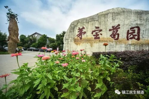 多项产品被列入国家星火计划,镇江这个旅游示范点厉害了