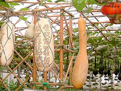 烟台本地人告诉你开发区、福山区、牟平区有什么好玩