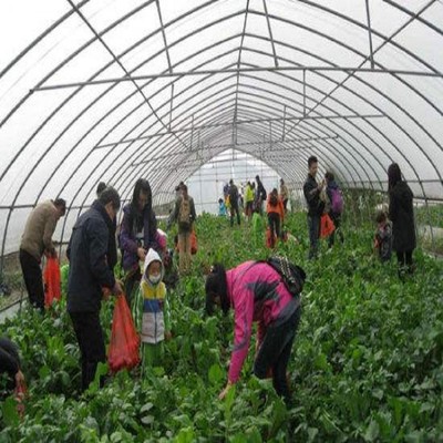 重庆市圣垦农业开发