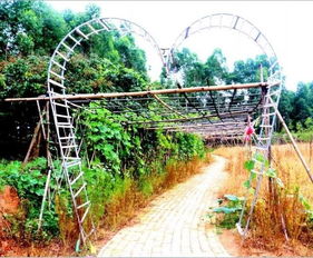 有吃有玩 带你走进贵港这5个自治区休闲农业与乡村旅游示范点