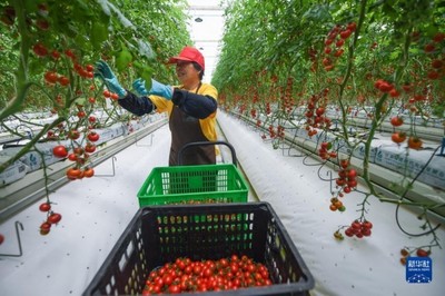 新华全媒+丨浙江探寻共富之路