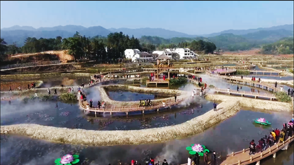 欧阳巧文调研生态农业和旅游开发工作