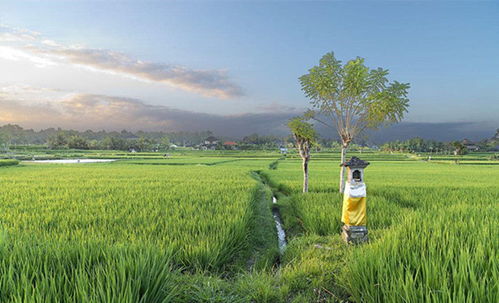 17帮农 休闲农业和乡村旅游是农业新机遇