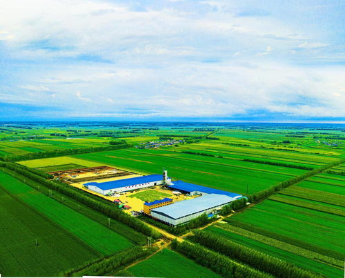 火爆俞敏洪直播间的北纬47度鲜玉米,藏着中国农业发展的未来