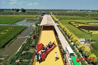 宁夏稻渔空间示范带动全区 农业 旅游 经济发展