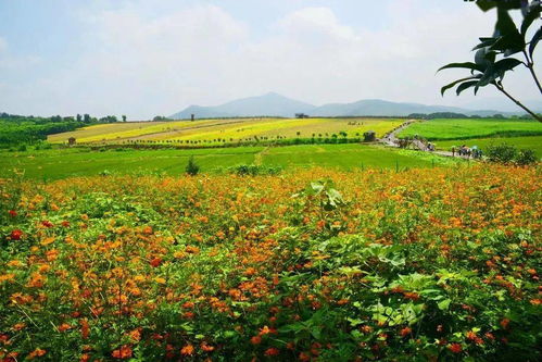 全部免票 湖北这份电话名单,请收好