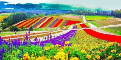 中国休闲农业发展现状、问题与对策