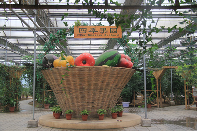 三十年铺就“三农”致富路!石家庄农业综合开发实施30周年成效显著