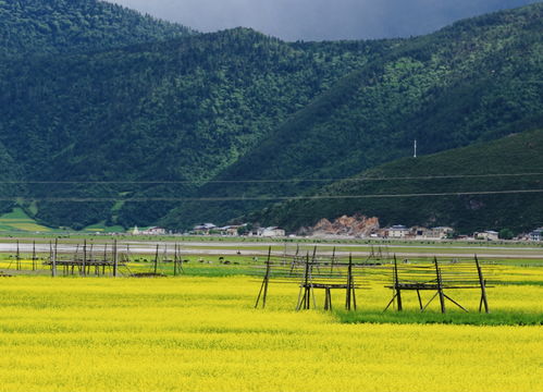 金江镇村容村貌干净整洁
