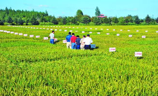 创新产业体系激发产业项目新动能