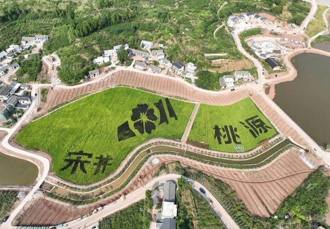 乡村运营|在乡村开发中,如何实现从无中生有