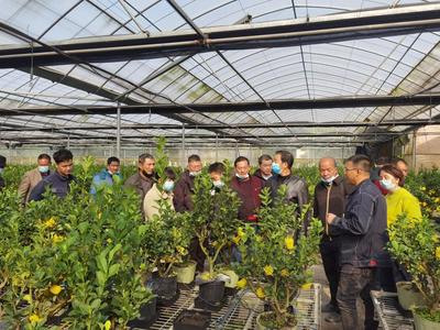 外出实践学习,助推乡村振兴