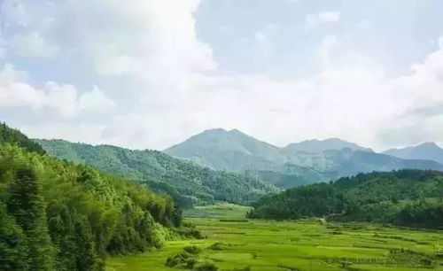 如何发展茶产业 旅游产业