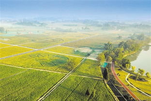 成都构建七大共享平台 服务全省乡村振兴