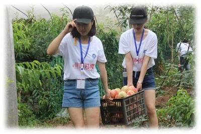 青春三下乡|重庆工商大学商务策划学院推动武隆电商发展,助力武隆扶贫开发