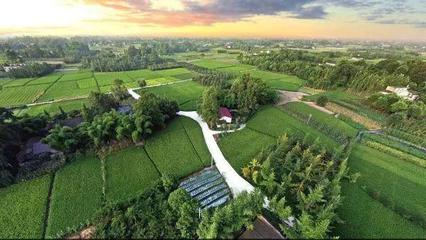 这些休闲农业的新业态,做乡村旅游必需要了解!