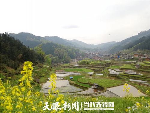 走出生态优先绿色发展新路子 贵州坚定不移推动长江经济带高质量发展 三