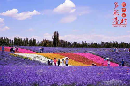 农秀才 农业农村部推荐100个休闲农业和乡村旅游精品景点线路