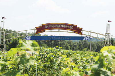 重庆:生态农业旅游示范区引领乡村产业发展