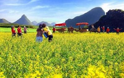 如何选址开发休闲农业?看乡村旅游开发的7大模式,29种类型