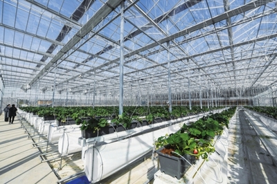 强化农业农村优先发展投入保障