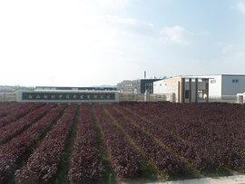 白山林村中药开发加工厂正式投产运营