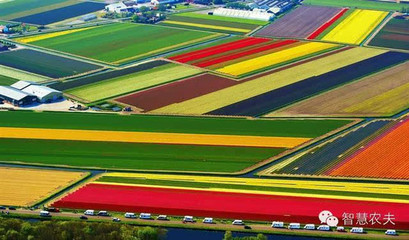 农业邂逅旅游,让农民的收入翻好几倍-