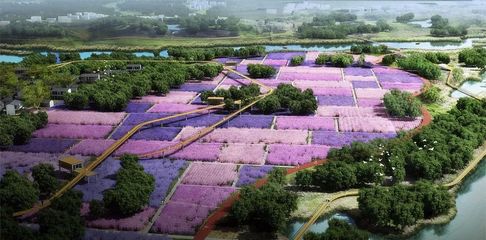 文博堂告诉你现代农业产业园区开发模式及五大运营模式!