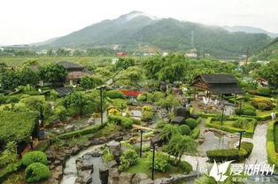 厉害了湖州的这个村 今天这里开了国家级的大会