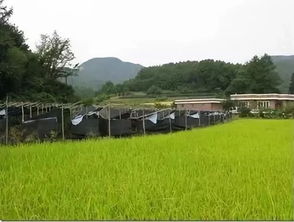 国外乡村旅游开发模式及案例解析