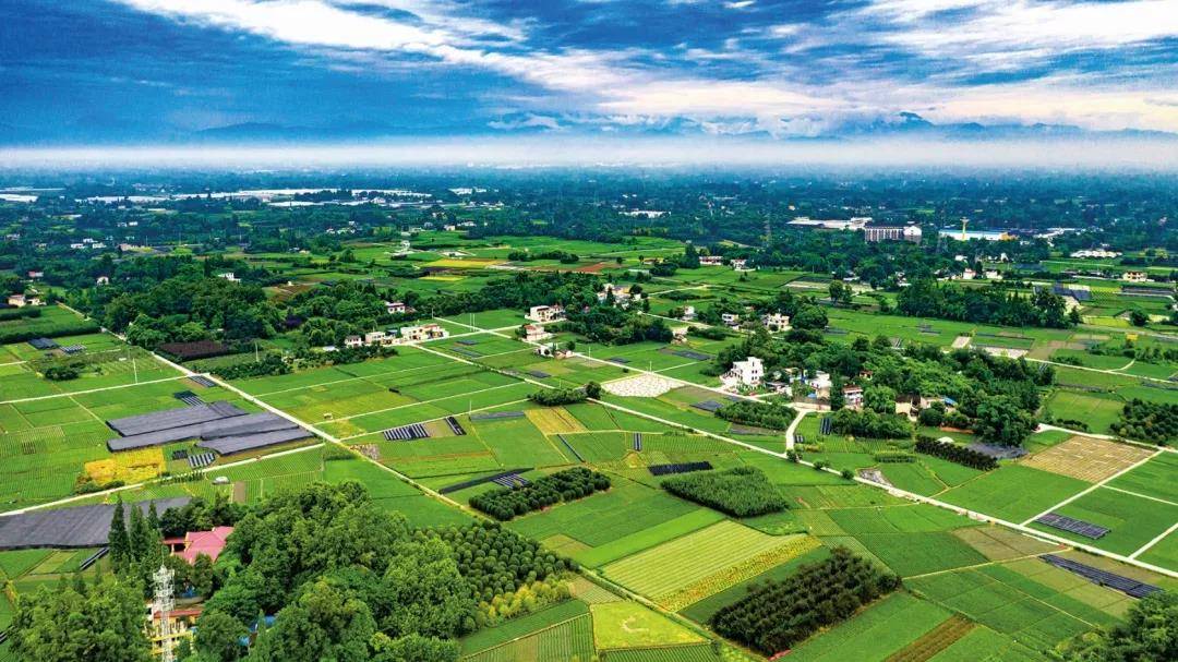 联农带农富农,助力乡村振兴 云南盐津芭蕉村农业开发有限公.