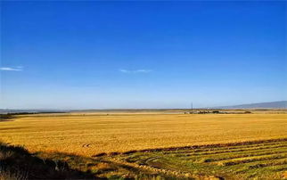 还说我国农药残留监管不如国外 现已超过国际食品法典 鸡蛋价格啥时候 蛋定 专家 节前冲高,节后回调 中科协揭秘8月 科学流言