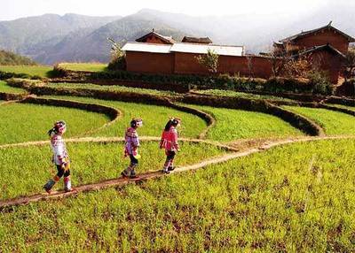 乡村旅游开发中的问题分析