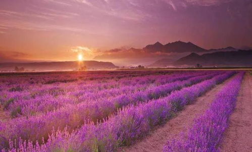 农庄变身休闲农业旅游景区该这么做