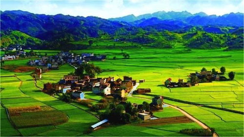 蛋先生 为何农产品丰收即滞销,农民丰收就亏本