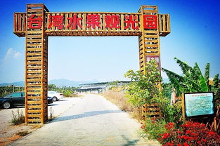 农业产业新玩法 看台湾如何打造 休闲农业