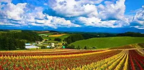 关注农业休闲综合体!以旅游休闲为导向的土地综合开发新模式