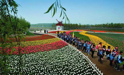 不远 | @虎妈猫爸 带孩子出发吧~陕西10大自然生态研学旅游目的地不容错过哦