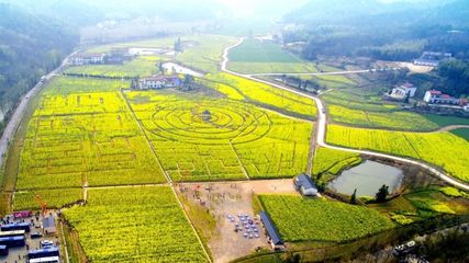 【特别关注】深耕两年,六安这个区孕育出“美丽经济”