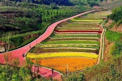 2018年“农业+文化+旅游+地产”:一场农业旅游大爆炸!