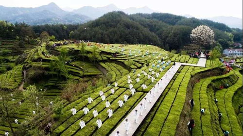 刘力 疫情对文旅行业发展带来的改变