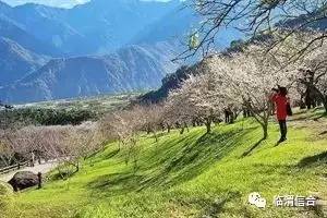 如何区分乡村旅游和休闲农业这两个概念