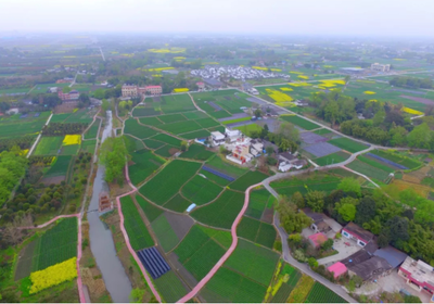 首届 “林盘农耕文化系统”保护与发展研讨会召开