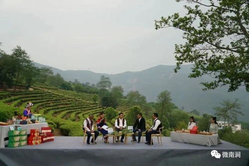 大理公郎镇罗伯克茶园村 茶旅融合一 叶 致富