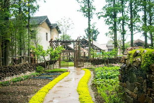 乌村 距离喧嚣一步之遥,隐于乡野,在我眼中却刚刚好