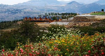 双马山 寻访一片沐心净土