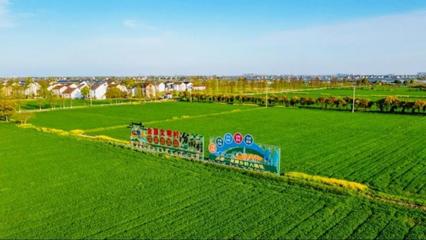 陶庄镇奏响乡村振兴“协奏曲” 书写美丽城镇共同富裕“新答卷”