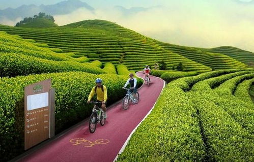 创艺园分享 特色农业旅游小镇开发的6大项目类型