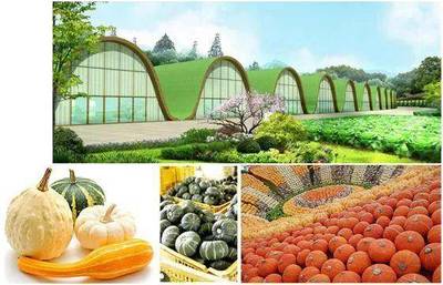 重大招商项目 现代农业、电子信息及农业旅游开发