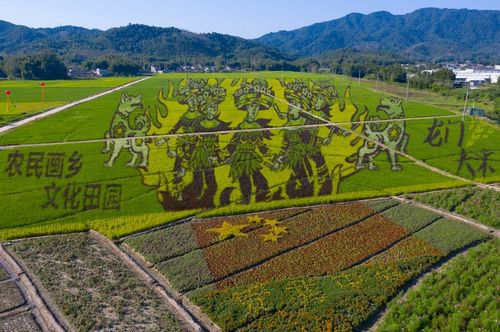 休闲农业与乡村旅游融合发展 龙门多地荣获省级示范殊荣